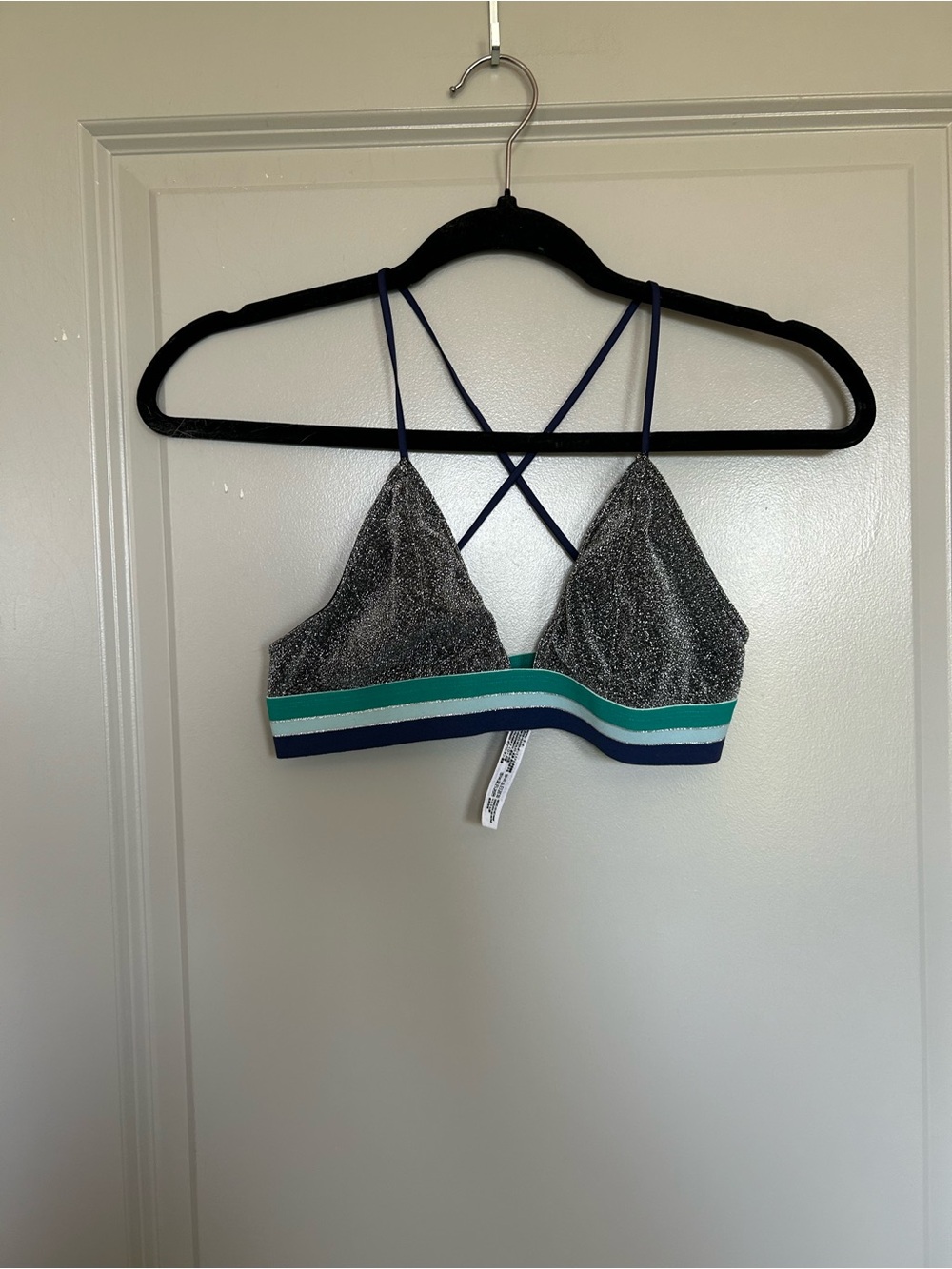 Intimately By Free People Shimmery Silver Triangle Bralette Navy and Teal Band